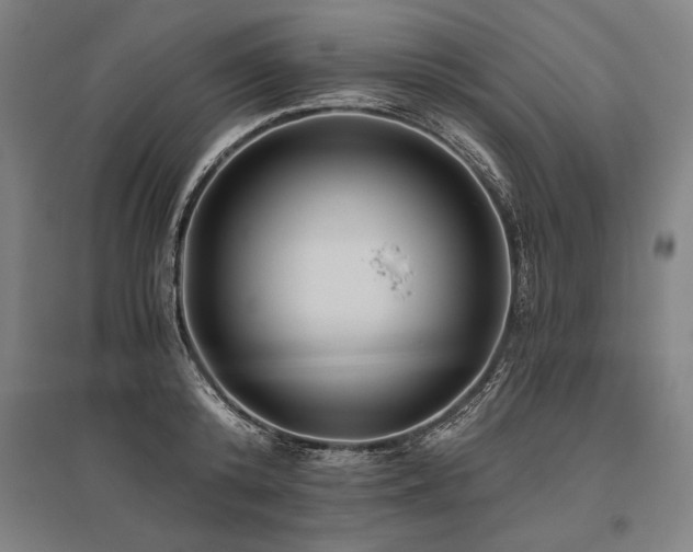 X0000096180800200801181311