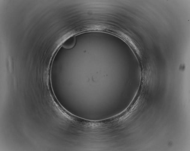 X0000096180802200801181311