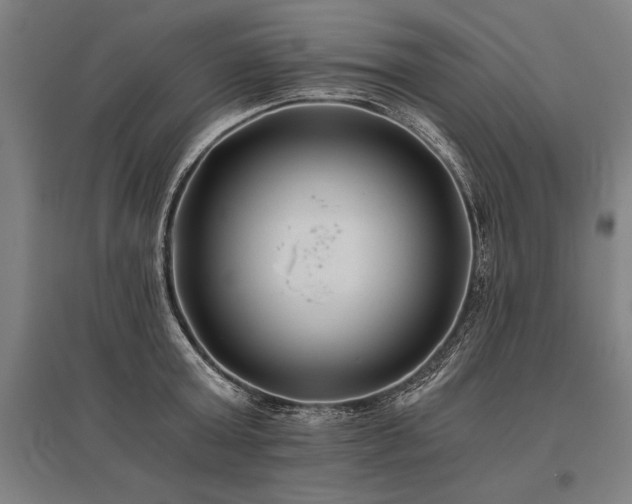 X0000096180803200801181311