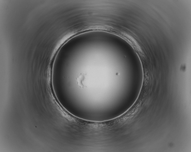 X0000096180804200801181311