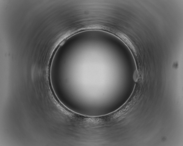 X0000096180805200801181311