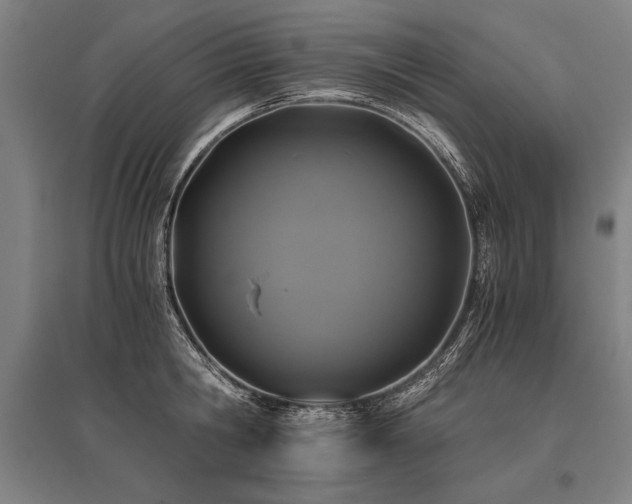X0000096180806200801181311