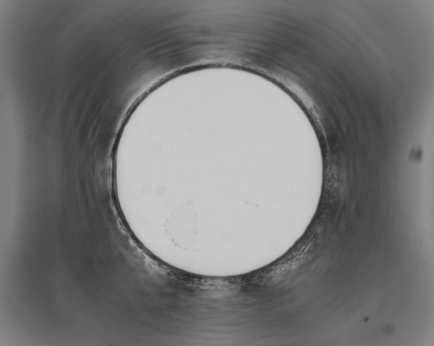 X0000096180807200801181311