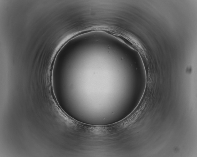 X0000096180808200801181311