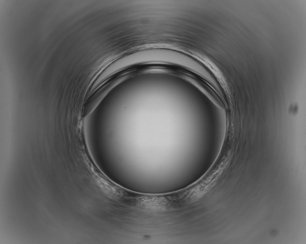 X0000096180809200801181311