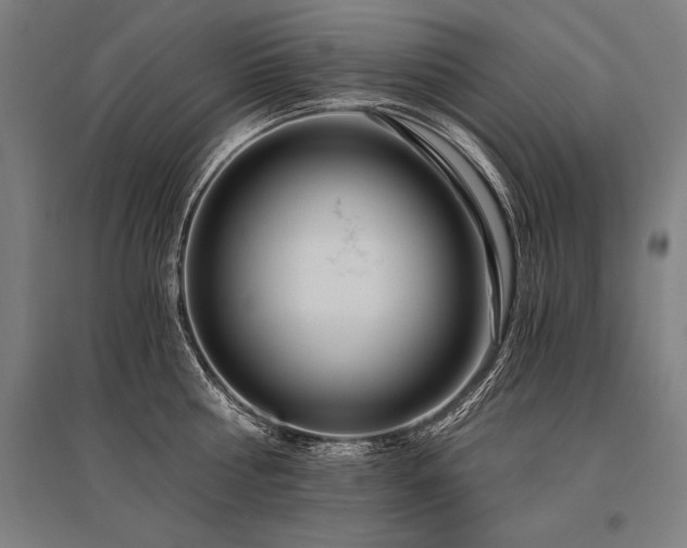 X0000096180810200801181311