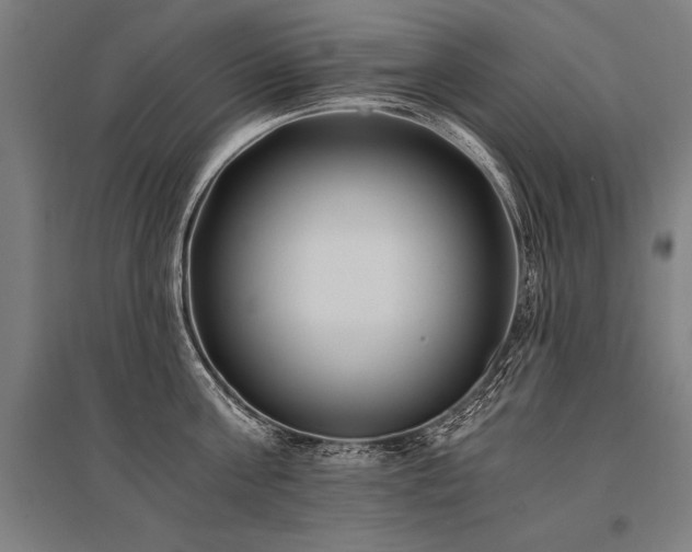X0000096180811200801181311