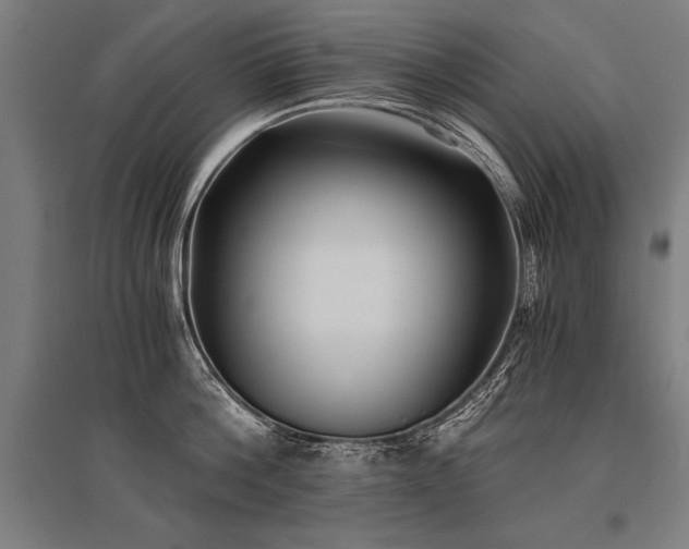 X0000096180812200801181311
