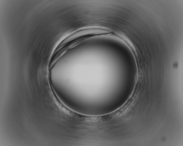 X0000096180813200801181311