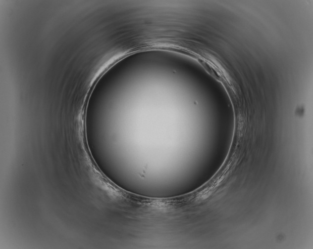 X0000096180814200801181311