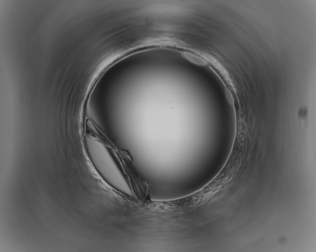 X0000096180815200801181311