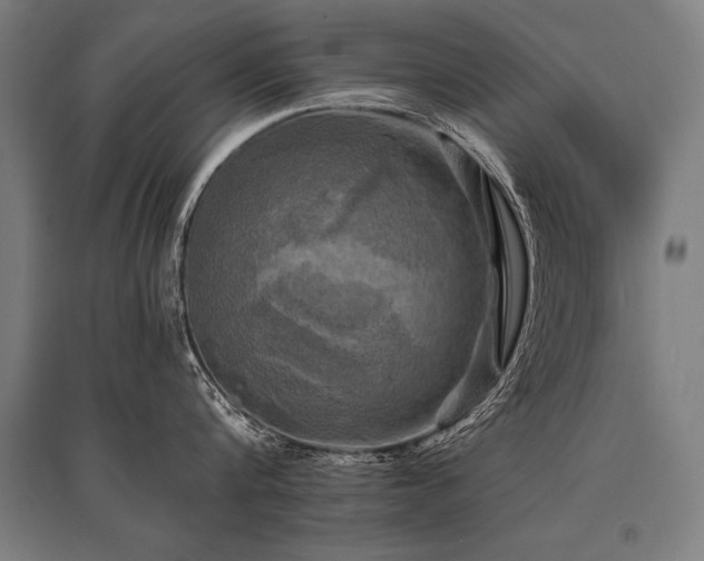 X0000096180816200801181311
