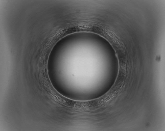 X0000096180817200801181310