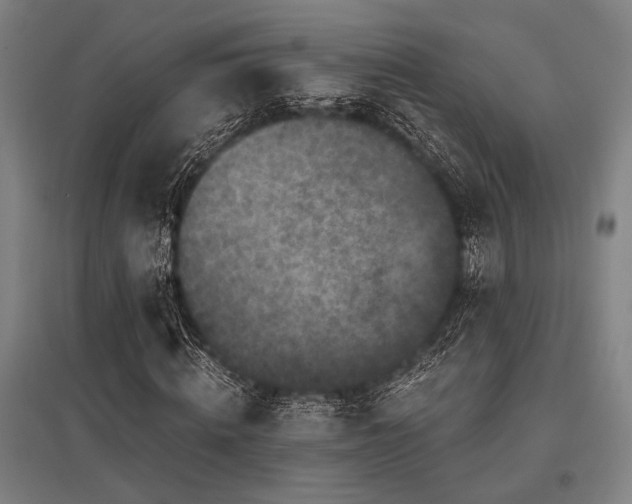 X0000096180820200801181310