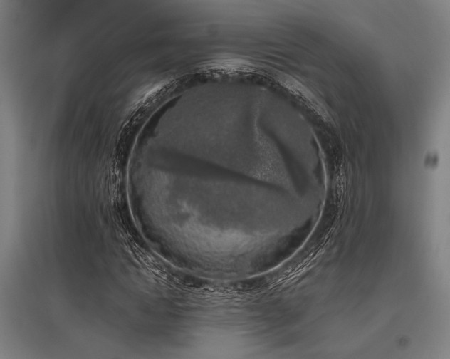 X0000096180822200801181310