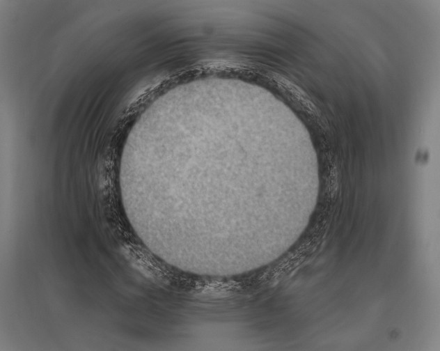 X0000096180824200801181310