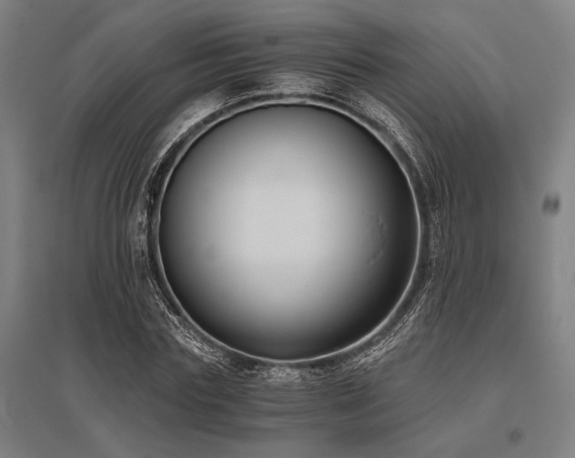 X0000096180827200801181310