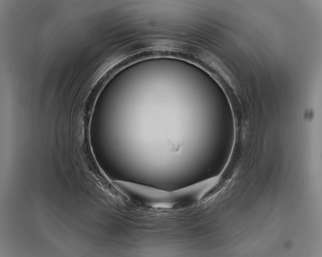 X0000096180829200801181310