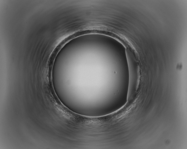 X0000096180830200801181310