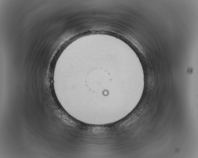X0000096180832200801181310