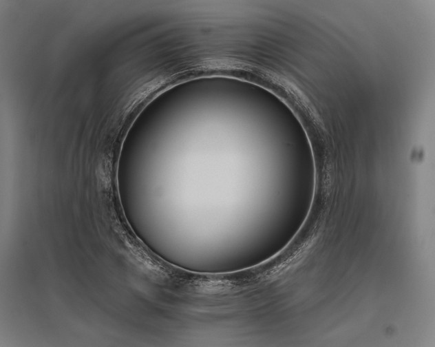 X0000096180833200801181310