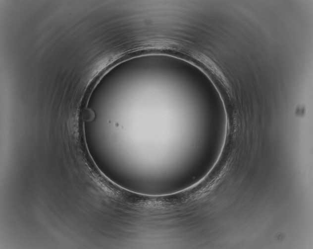 X0000096180834200801181310