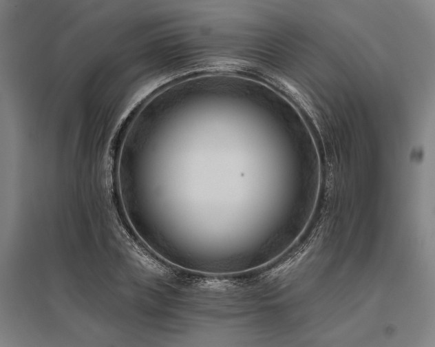X0000096180835200801181310