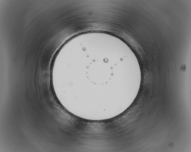 X0000096180836200801181310