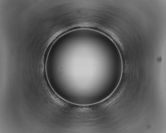 X0000096180837200801181310