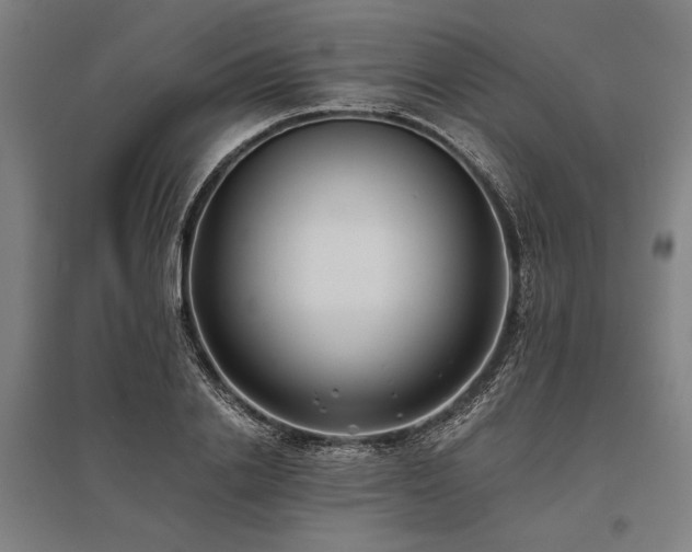 X0000096180838200801181310