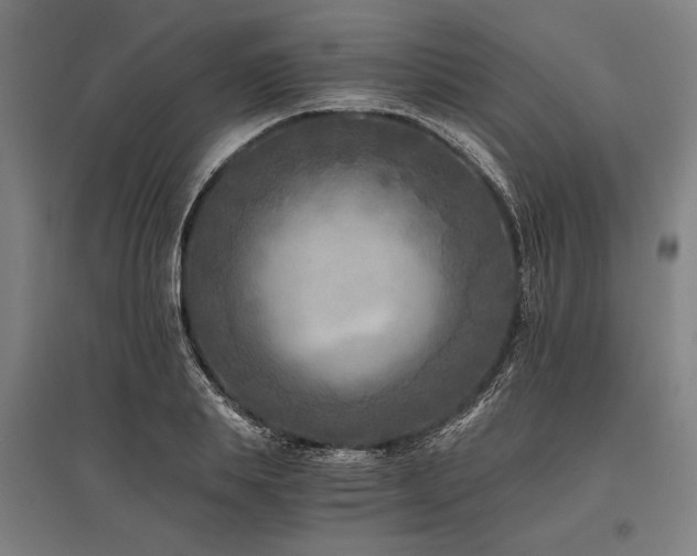 X0000096180839200801181310