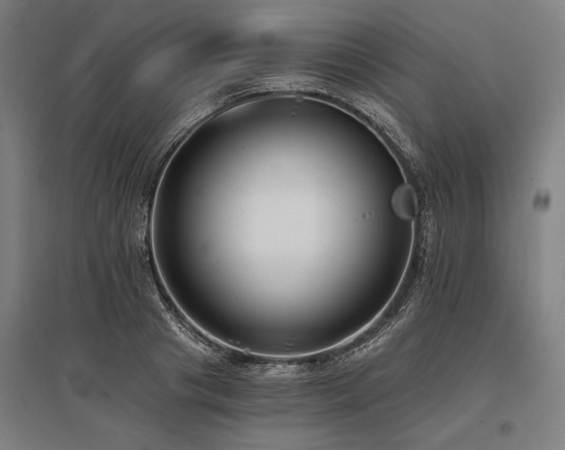 X0000096180841200801181310