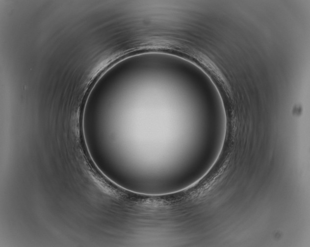 X0000096180842200801181310
