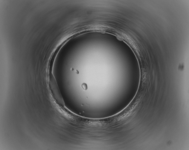 X0000096180843200801181310