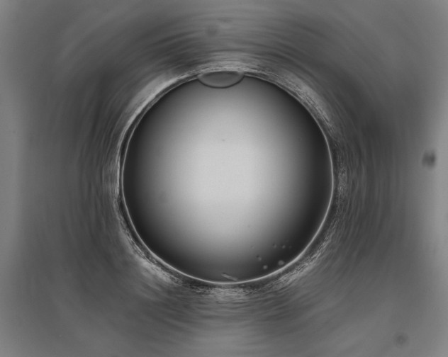 X0000096180844200801181311