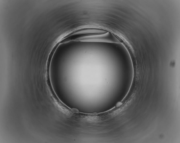 X0000096180845200801181311