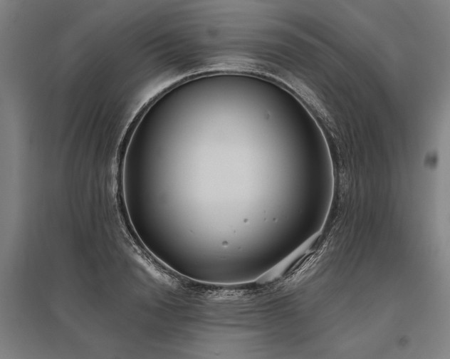 X0000096180846200801181311