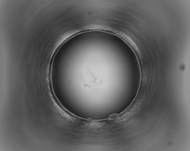 X0000096180847200801181311