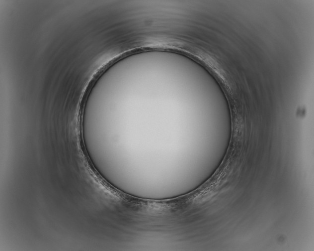 X0000096180848200801181311