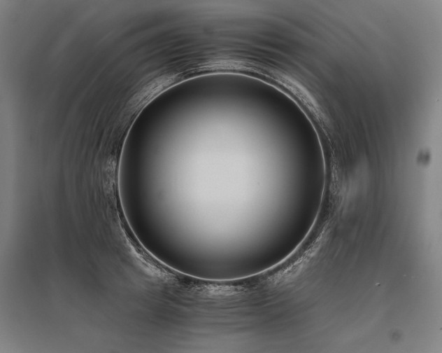X0000096180849200801181311