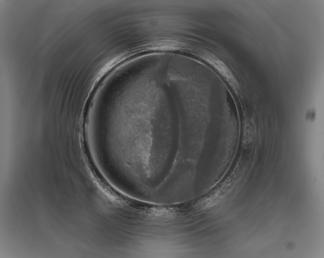 X0000096180850200801181311