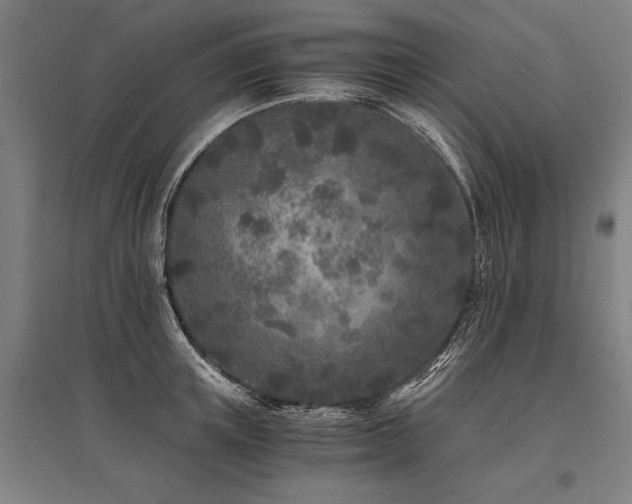 X0000096180851200801181311