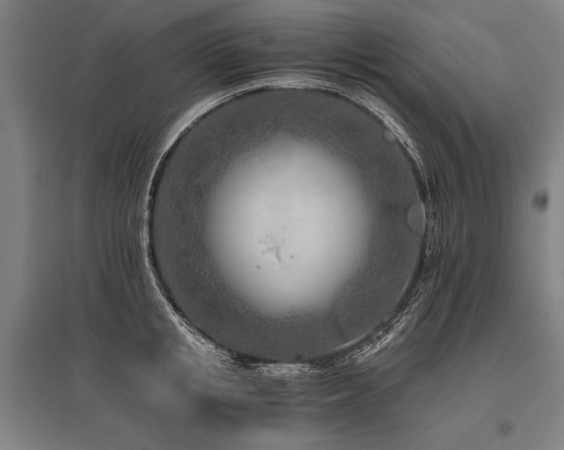 X0000096180853200801181311