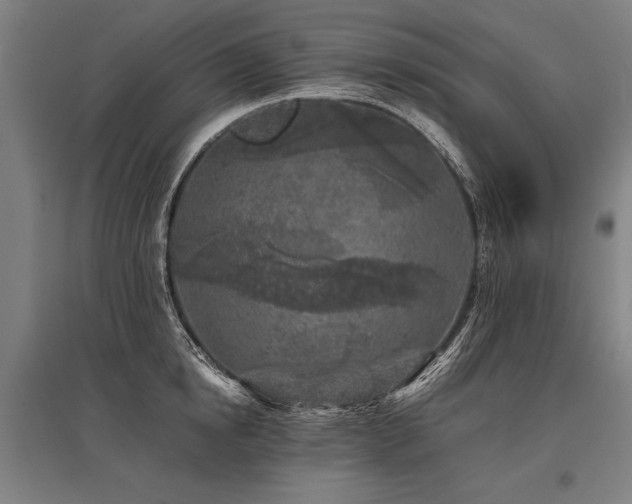 X0000096180854200801181311