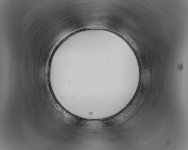 X0000096180856200801181311