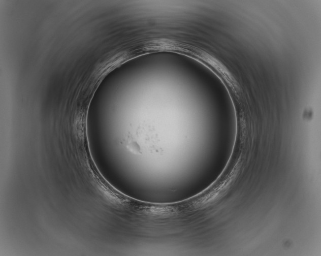 X0000096180857200801181311