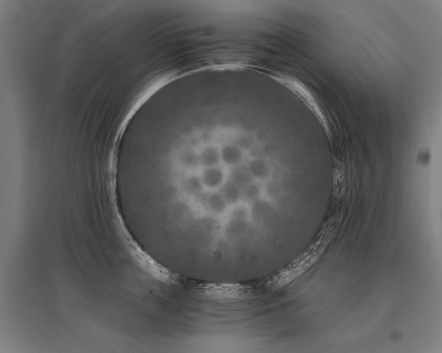 X0000096180859200801181311