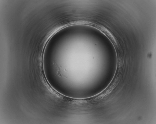 X0000096180860200801181311