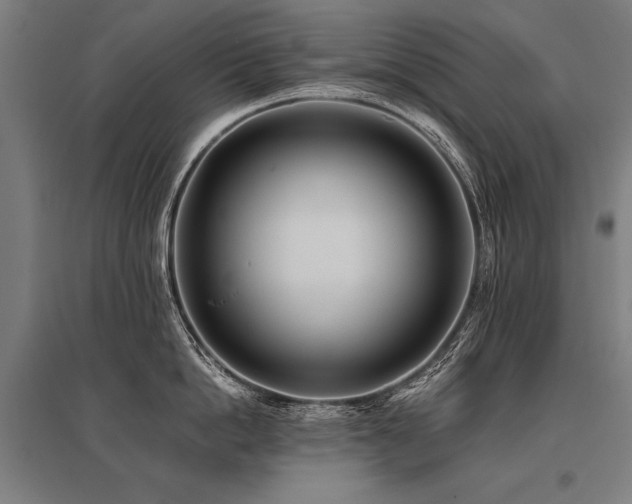 X0000096180862200801181311