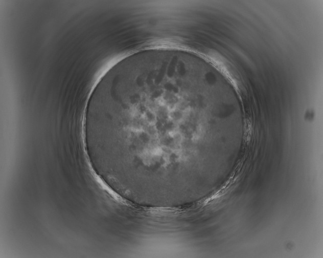 X0000096180863200801181311